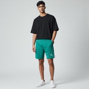 NWT M PUMA Team LIGA Men’s Soccer Shorts Lightweight Athletic Performance 704924
